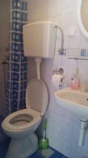 Cottage Melita the Apartment for Animal Lovers - Babino Polje - 3