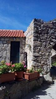 Cottage Melita the Apartment for Animal Lovers - Babino Polje - 9