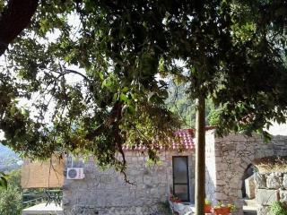 Cottage Melita the Apartment for Animal Lovers - Babino Polje - 1