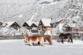 MYALPS Mühlhof inklusive Sauna - 2