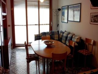 Great flat in a quiet area - 5