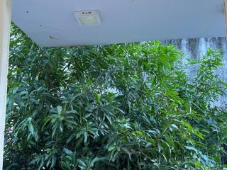 Kareema's Hostel - 3