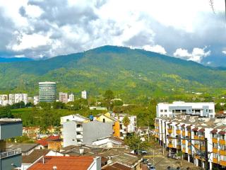 Apartaestudio - Hermosa vista - 4