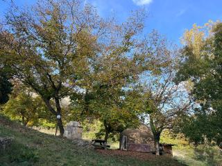 GLAMPING RETREAT i LAGHETTI - 2