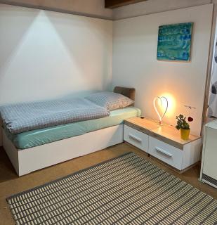 TONIS Room - WPA Apartments - 0