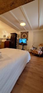 Joli studio rénové, calme, centre ville, parking - 5