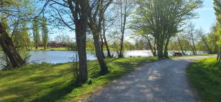 Joli studio rénové, calme, centre ville, parking - 2