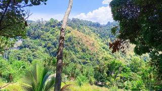 Ameliora Hotel Ella - 2