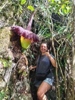 Dendi guest house & orang utan explore - 4