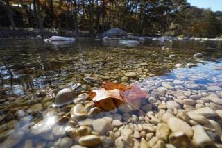 Frio Country #06 - 1