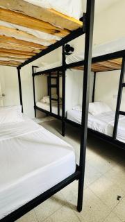 Baku Laureles Hostel - 6