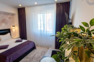 Studio Park View - 3