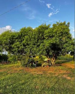 Bill and Yen Agri Tourism Park - 5