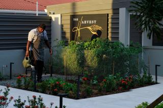 Baia Mare Villas - 6