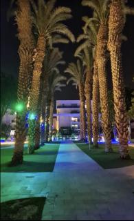 רויאל דרים אילת - 4