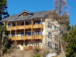 Sorbier Des Oiseaux - 2