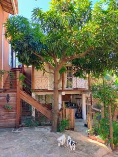 Chalé Elis - Serra do Cipó - 1