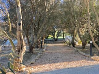 La Carreña - 9