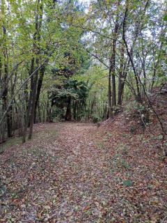 123 la casa nel bosco -  - 6