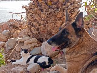 Auberge Souktana - 4