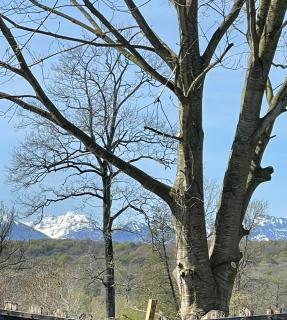 La Maison d'hôtes LA PUYERRE - 8