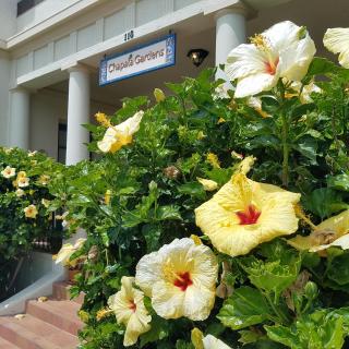 Perfect West Beach Location! Chapala Gardens Two-Level 1BR- Unit 3 - 1