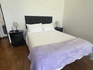 Granja & Vivero Lavanda - 4