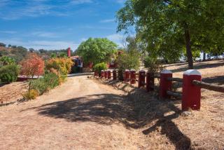 Villa Rural Las Encinas - 1