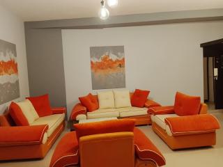 Two bedrooms Two bathrooms and two balconys - 6