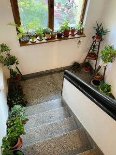 Studio 007 с градинка - 3