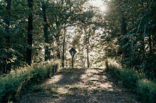 Castello di Pasturana - 9