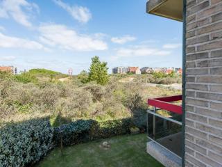 Aubépine premier - 4