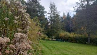 Szept - Biały Domek - 5