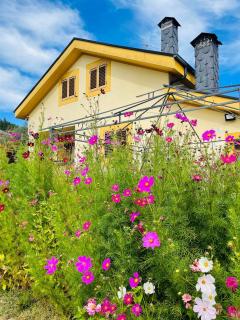 El Rincón de la Mimosa - 0