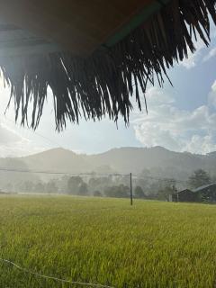 Boong Home - Cao Bằng - 5