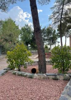 Casita de campo a 15 minutos de Toledo - 5