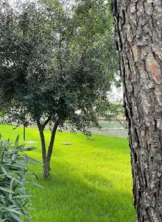 Casita de campo a 15 minutos de Toledo - 3