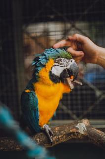 Recanto Vera Lucia - 8