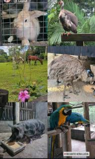 Recanto Vera Lucia - 7