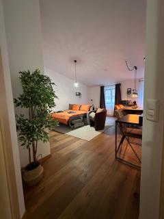 Work and Chill Apartment near Zermatt and Lonza - 7