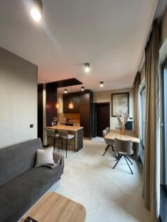 Ludowa Apartment - 0