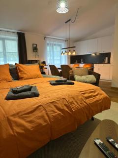 Work and Chill Apartment near Zermatt and Lonza - 2