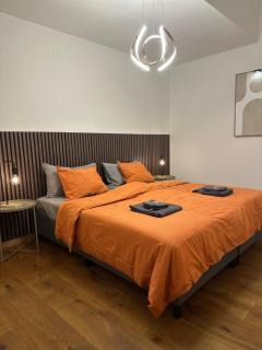 Work and Chill Apartment near Zermatt and Lonza - 8