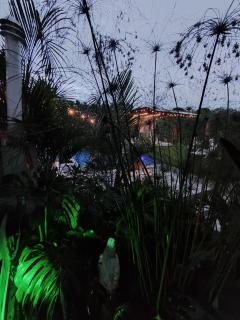 Finca hotel villa del lago - 5