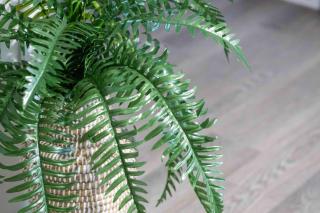 Miami Modern Studio minutes to Wynwood & Downtown - 9