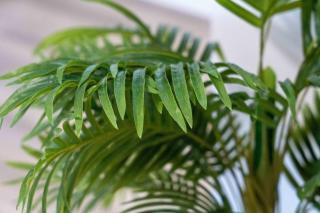 Miami Modern Studio minutes to Wynwood & Downtown - 4