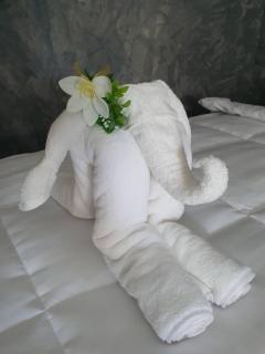 J House Has Love - 2