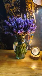 Granja & Vivero Lavanda - 2