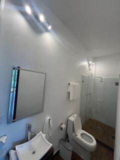 Granja & Vivero Lavanda - 6