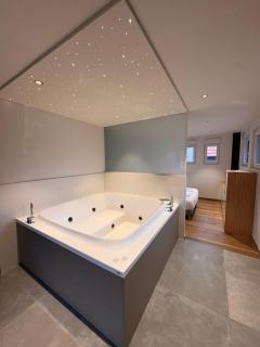 Gite Spa L'Atelier Emile - Spa Privatif - 5 min COLMAR - 6